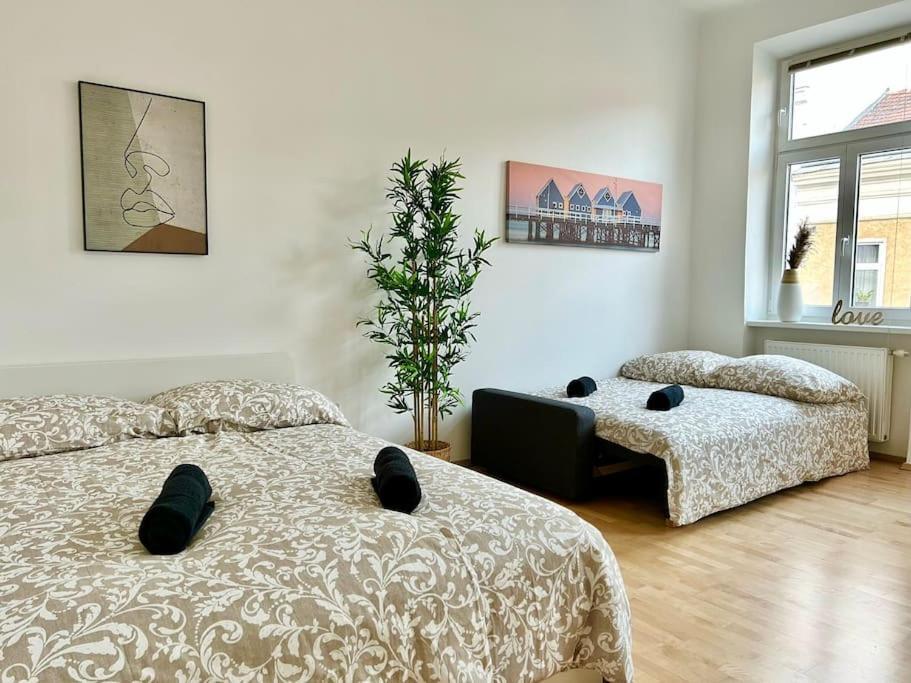 50 M2 With Free Parking & Netflix Apartment Wien